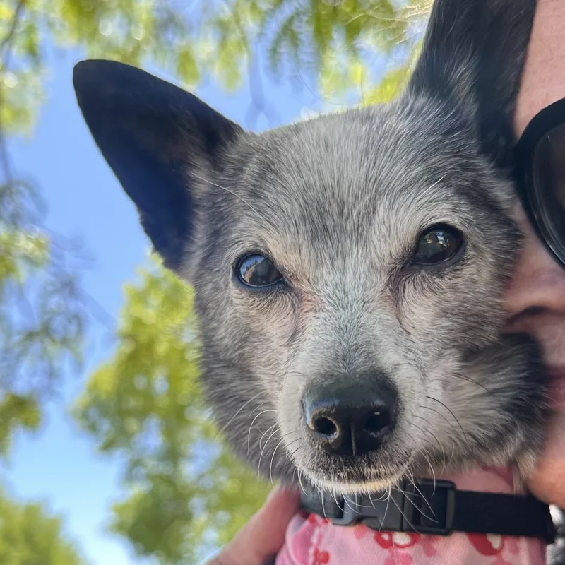 Phyllis In Colorado thumbnail 5