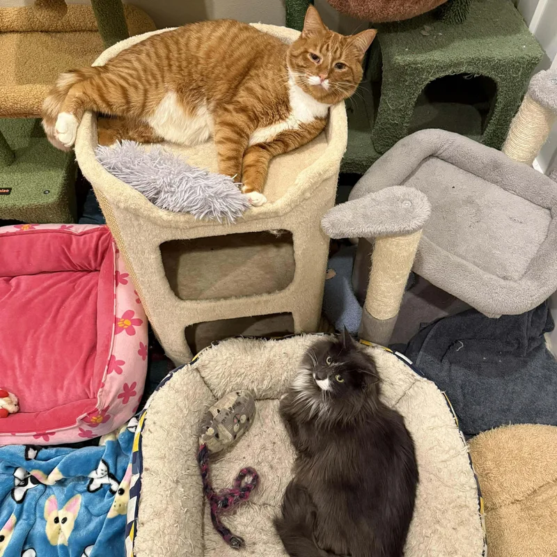 Louis And Clark thumbnail 2