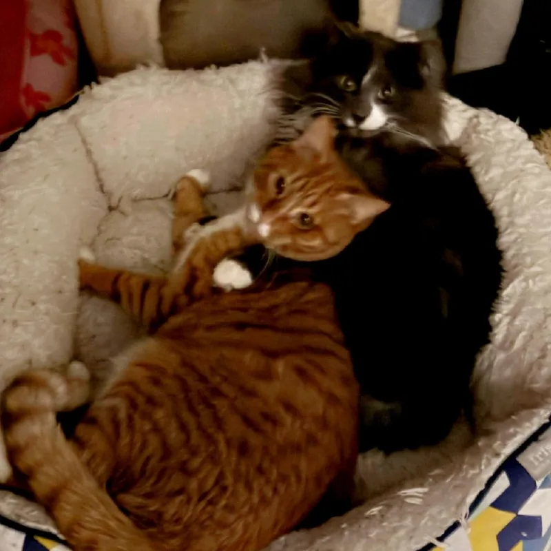 Louis And Clark thumbnail 3