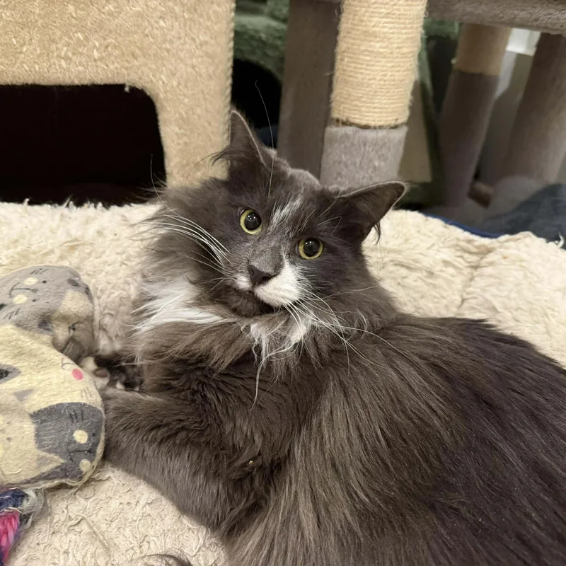 Louis And Clark thumbnail 4