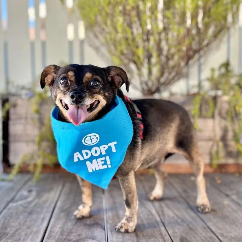 Tootsie Roll thumbnail 3