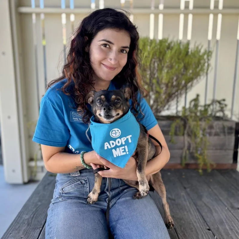 Tootsie Roll thumbnail 4