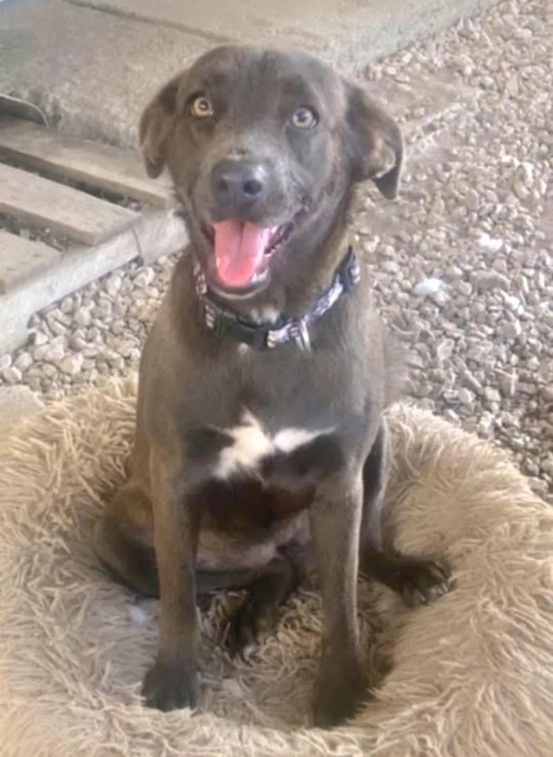 Greeicy "only Love!" thumbnail 2