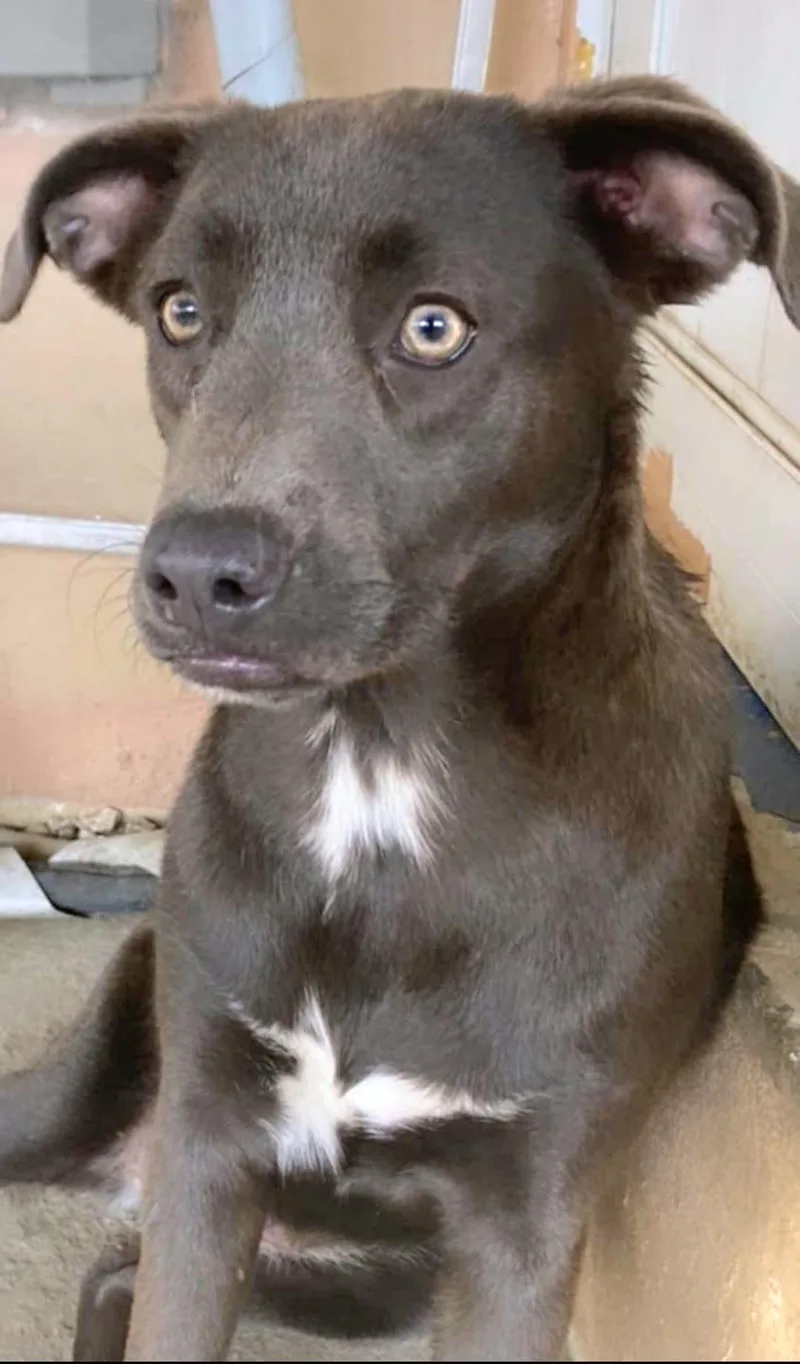 Greeicy "only Love!" thumbnail 5