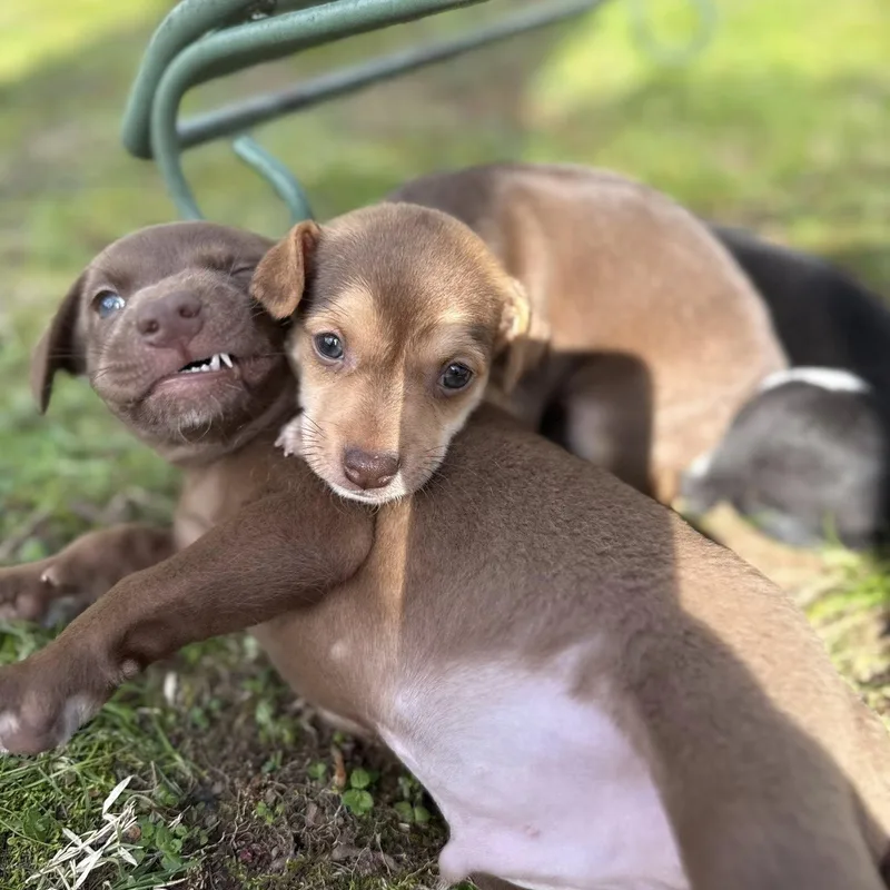 Kaitlyn B thumbnail 2