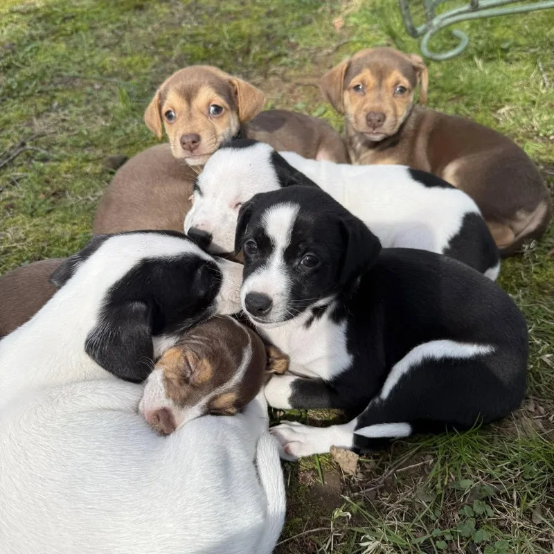 Kaitlyn B thumbnail 3