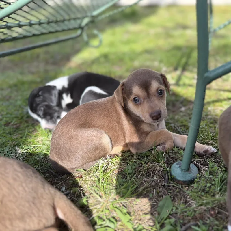 Kaitlyn B thumbnail 5