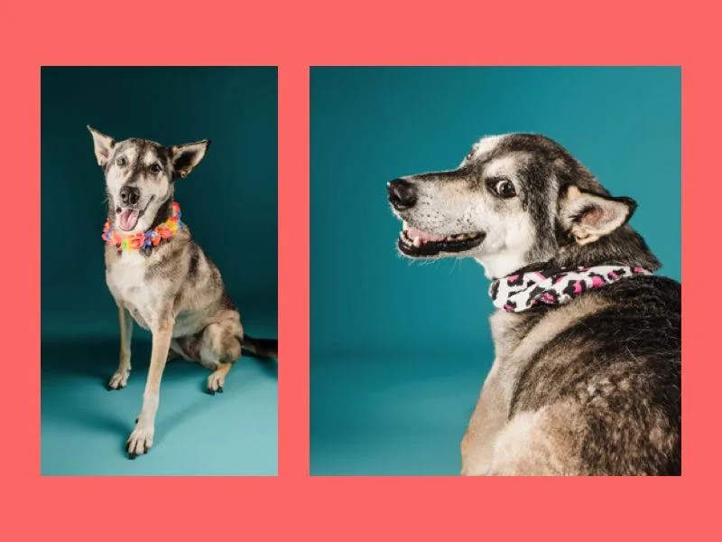 Lady Aka Lady Bug thumbnail 2