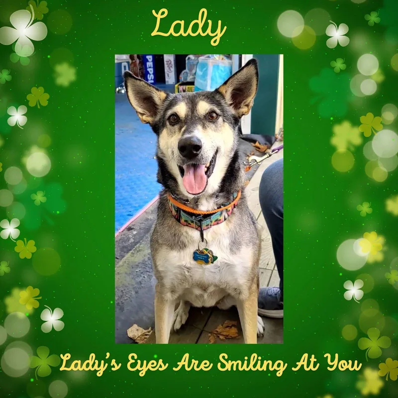 Lady Aka Lady Bug thumbnail 3