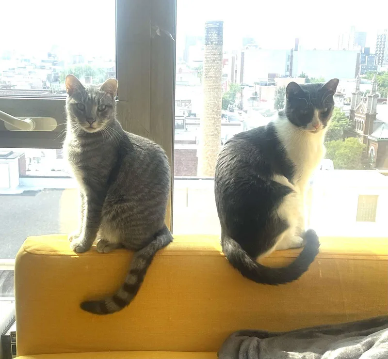 Big Boy And Mr. thumbnail 2