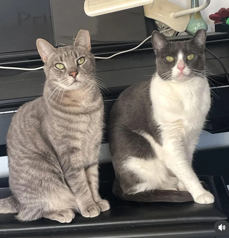 Big Boy And Mr. thumbnail 3