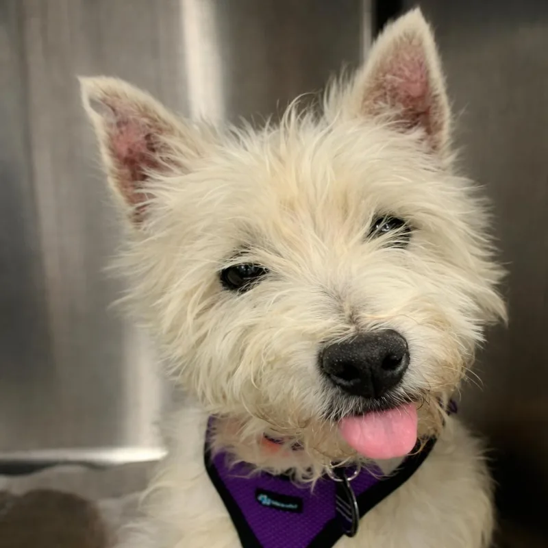 Camilla D thumbnail 2