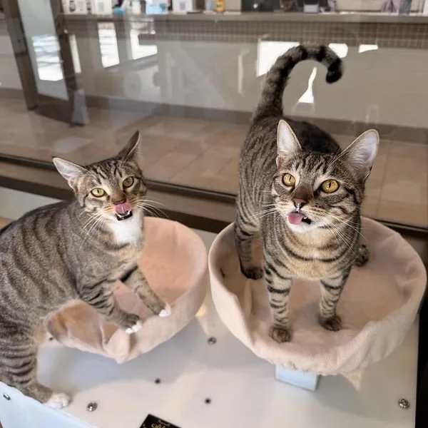 Etta & Butch thumbnail 2