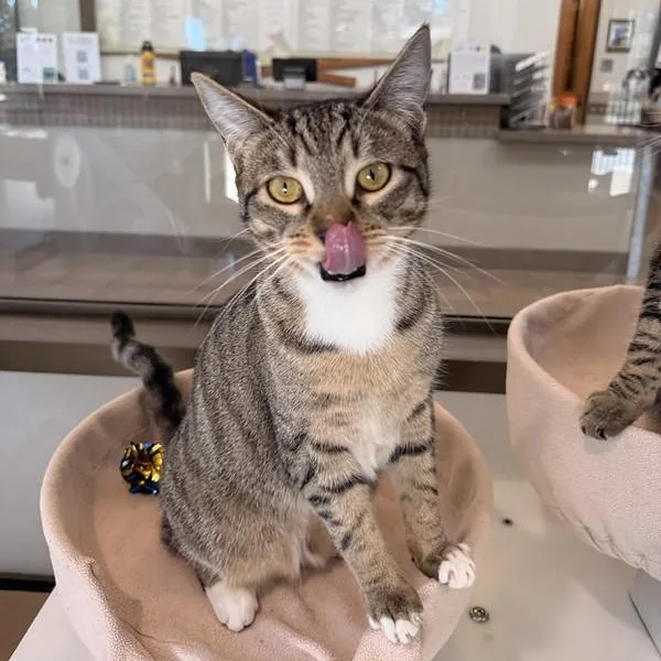 Etta & Butch thumbnail 4