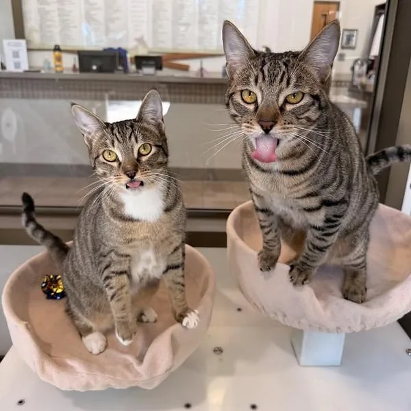 Etta & Butch thumbnail 6