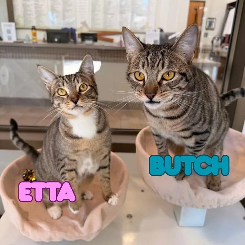 Etta & Butch