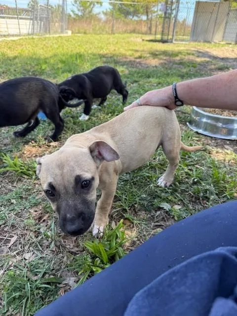 James Dean thumbnail 2