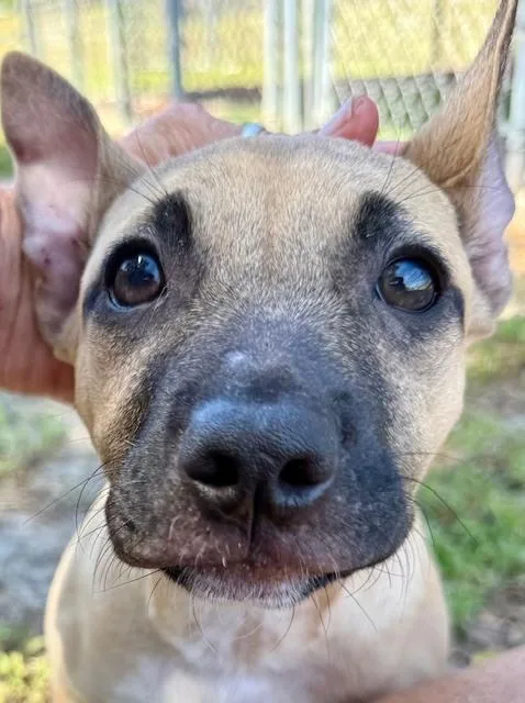 James Dean thumbnail 3