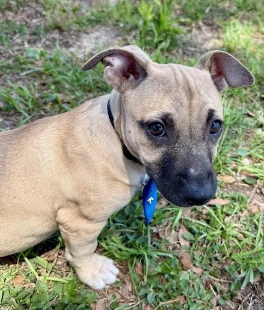 James Dean thumbnail 4