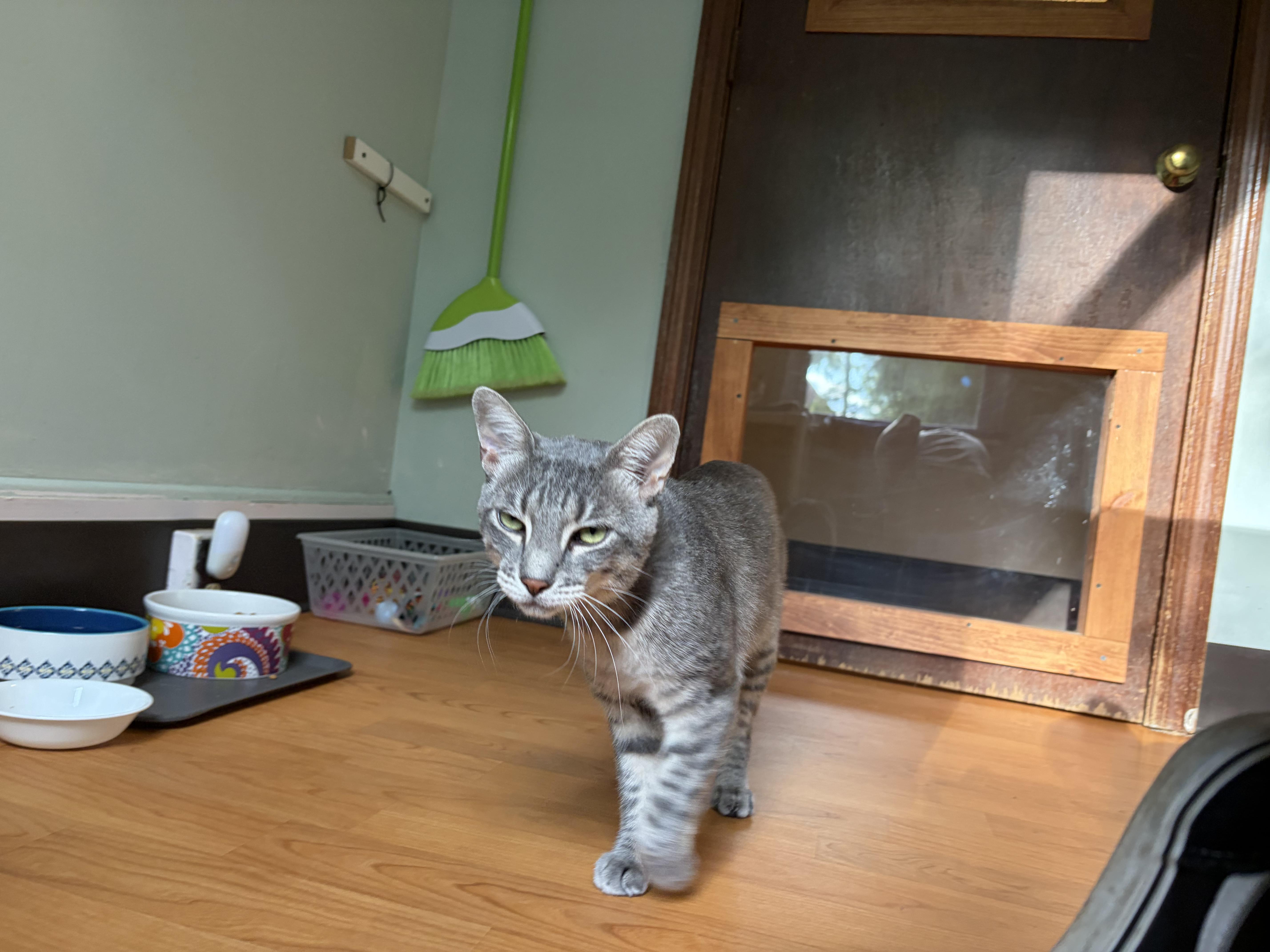 Sammi & Tiger thumbnail 2