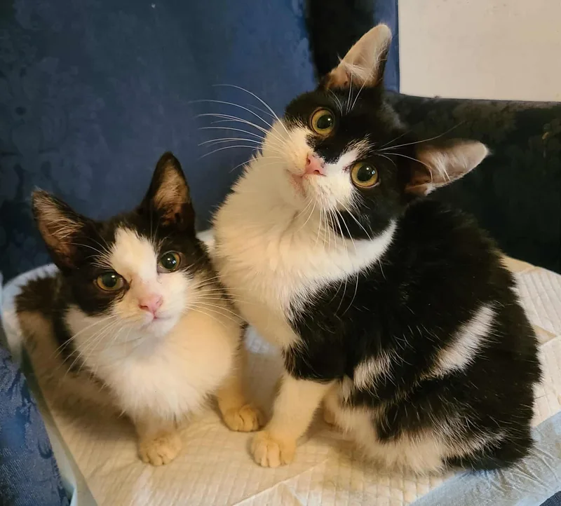 Arlo And Holly thumbnail 2