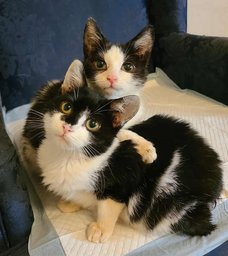 Arlo And Holly thumbnail 3