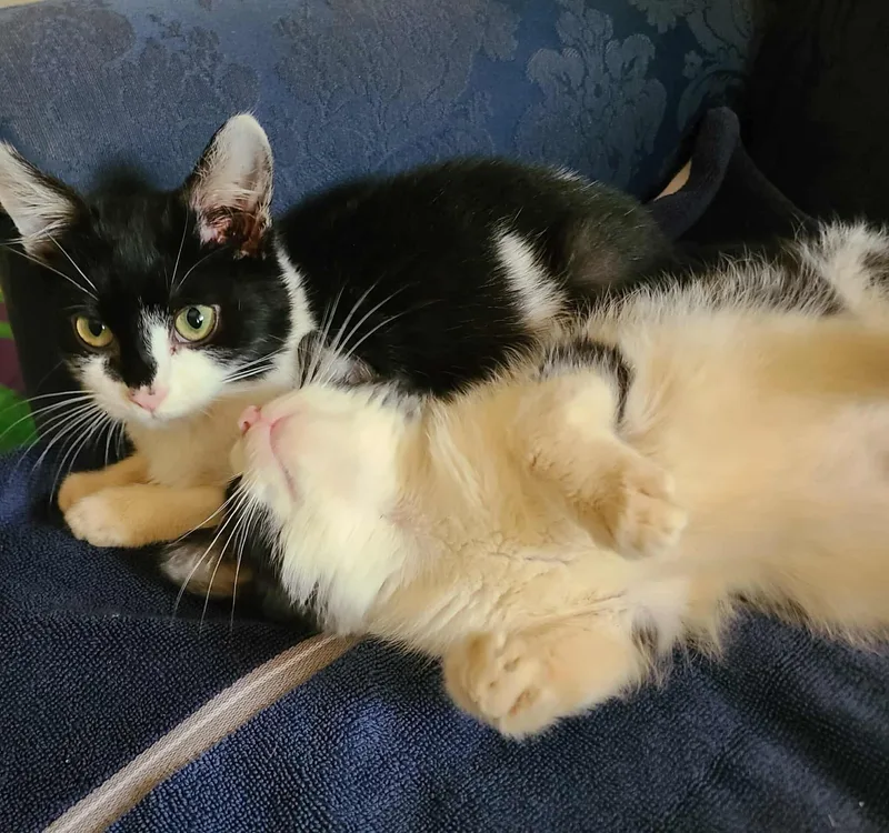 Arlo And Holly thumbnail 6