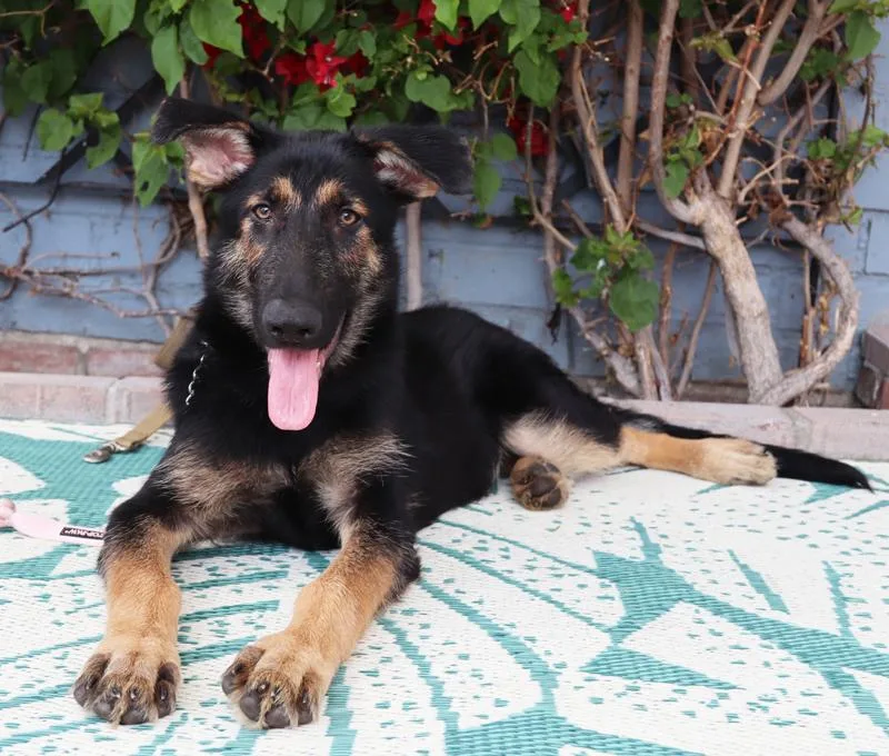 Mocha Von Murren" thumbnail 2