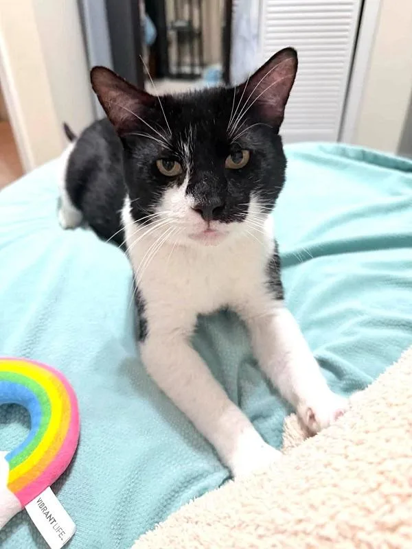 Red Solo Cup thumbnail 2