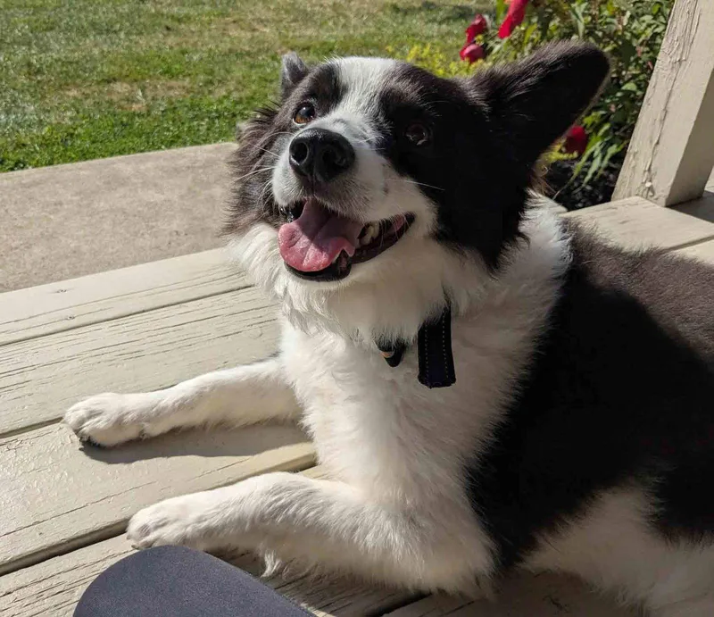 Max Of Clarence Ny thumbnail 2