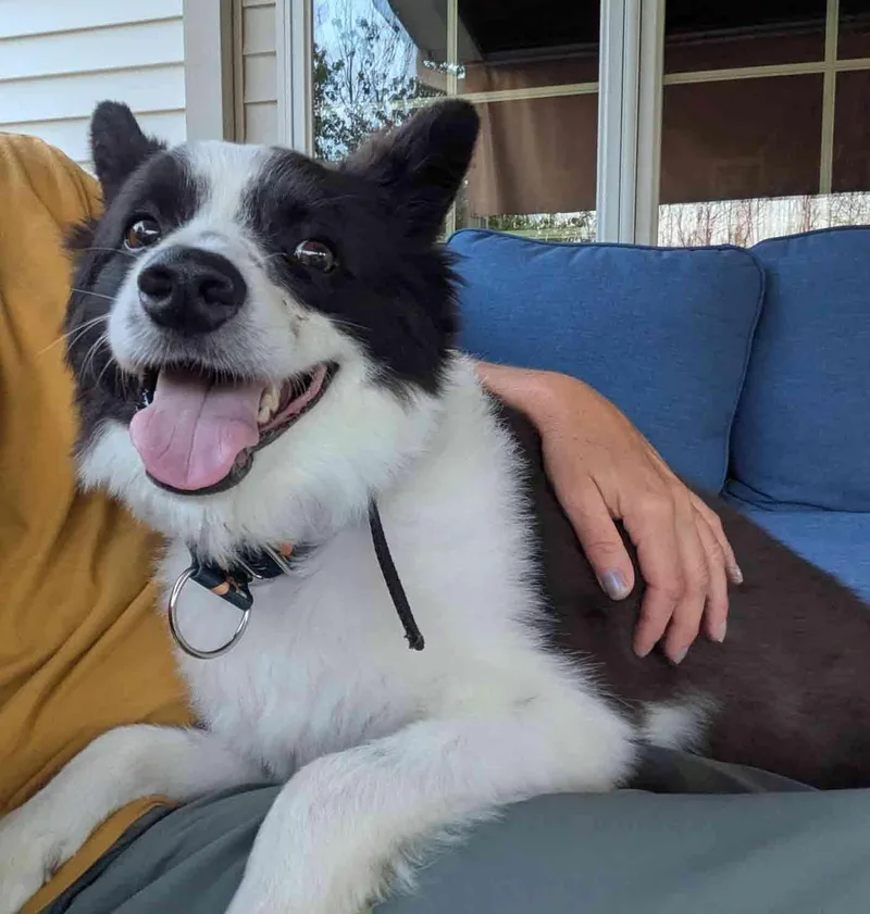 Max Of Clarence Ny thumbnail 3