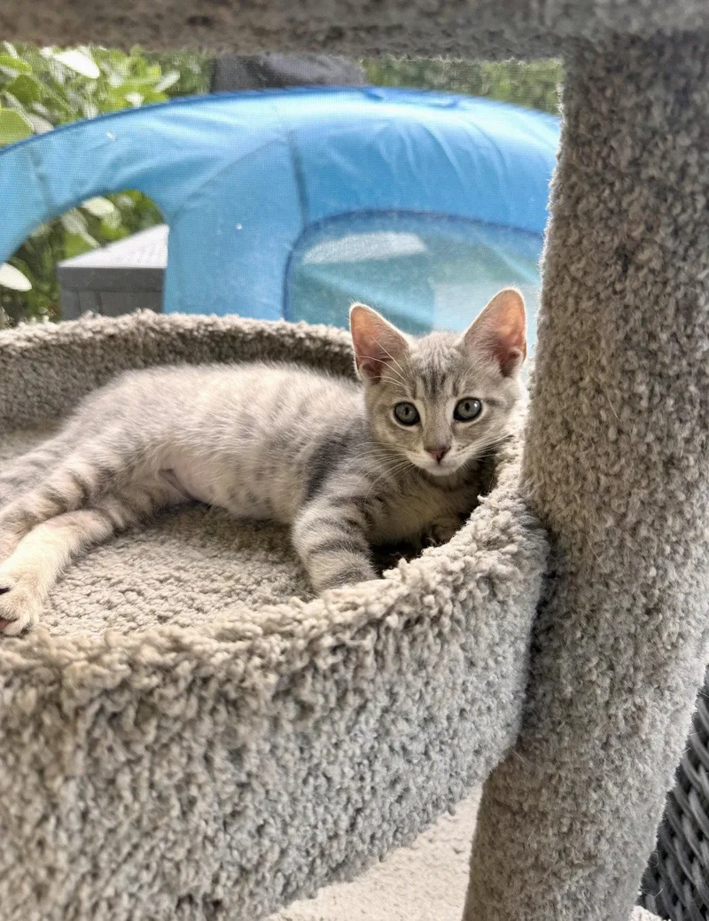 Milly thumbnail 2