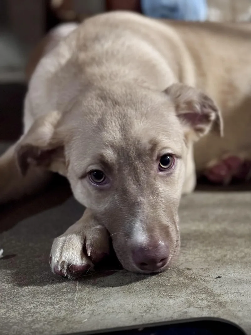 Lainey Woofson thumbnail 2