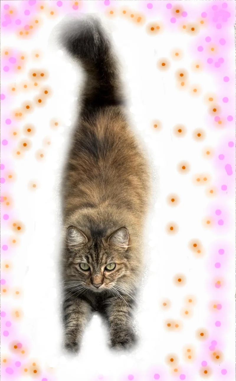 Mr. Purrrsia! thumbnail 3