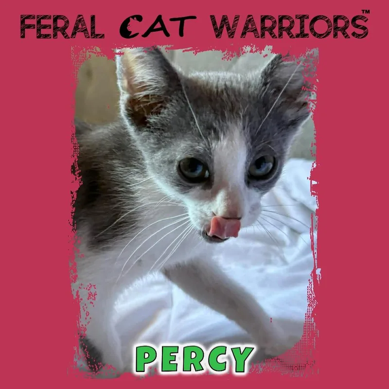 Percy