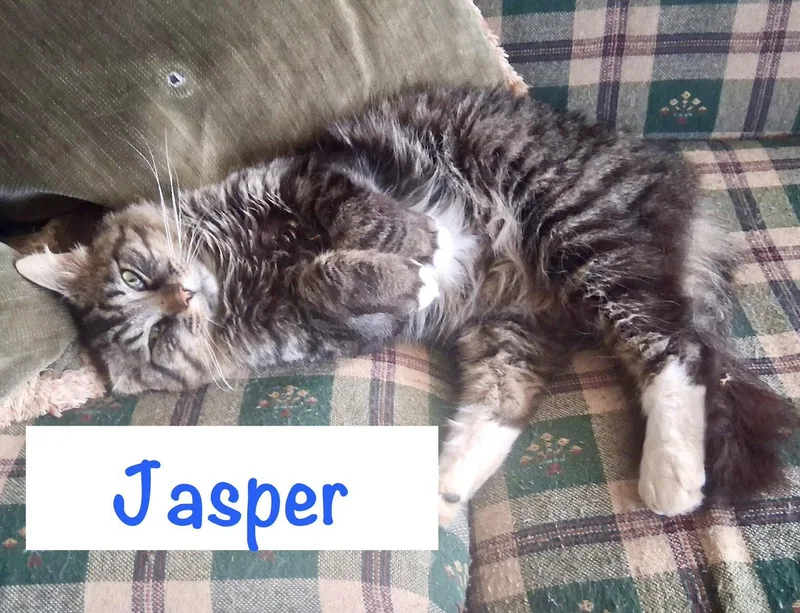 Jasper thumbnail 2