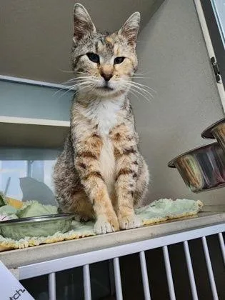 Miss Claire thumbnail 2