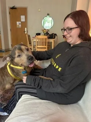 An adult large-sized female Mixed Breed dog named Henny for adoption in Chamblee, GA