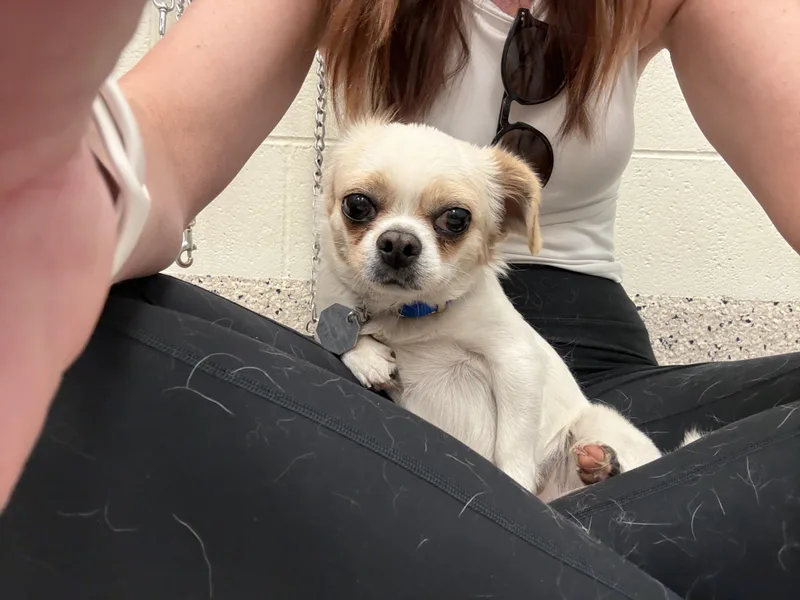 Jimothy thumbnail 2
