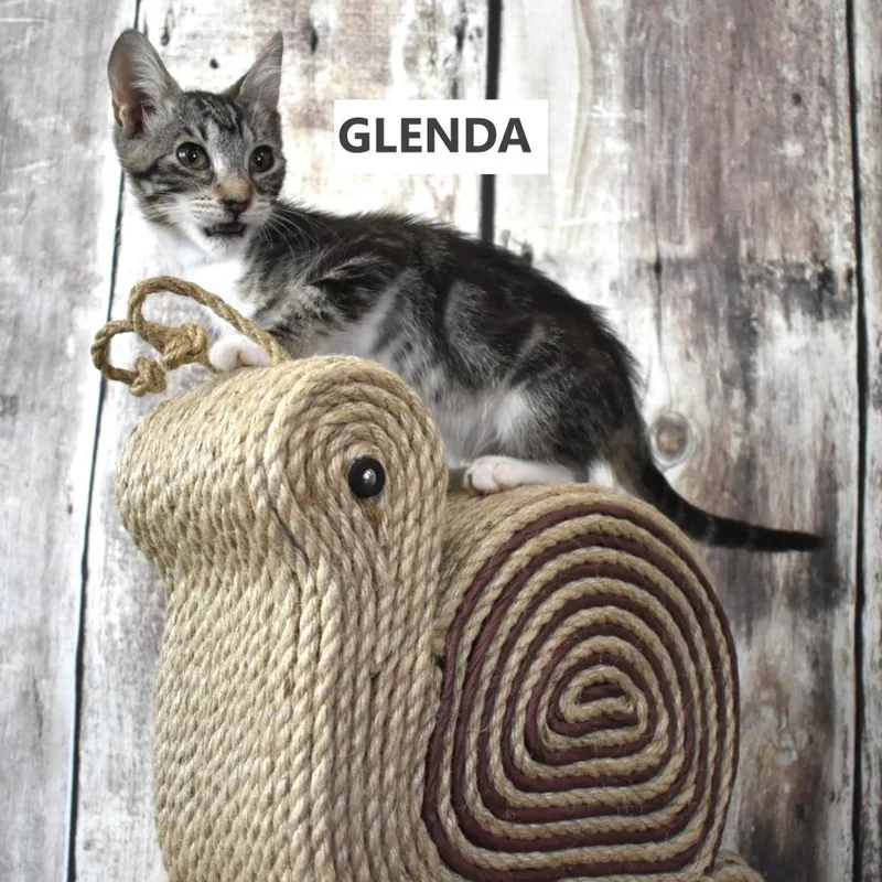 Glenda thumbnail 2