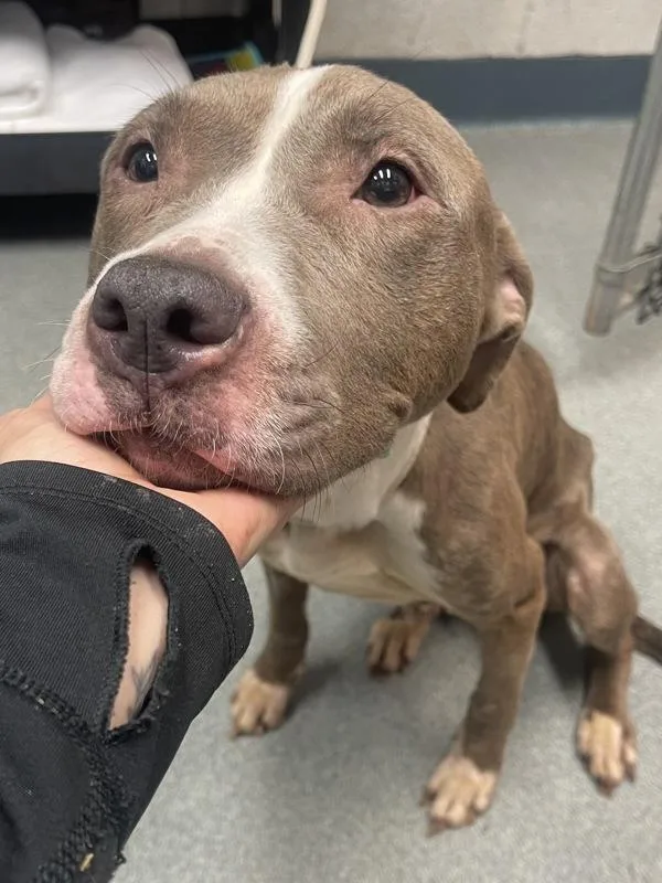 Tinker Bell thumbnail 2