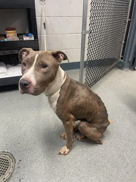 Tinker Bell thumbnail 3