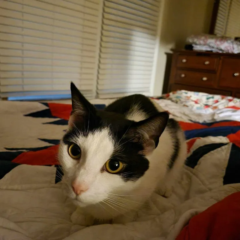 Hawkeye thumbnail 2