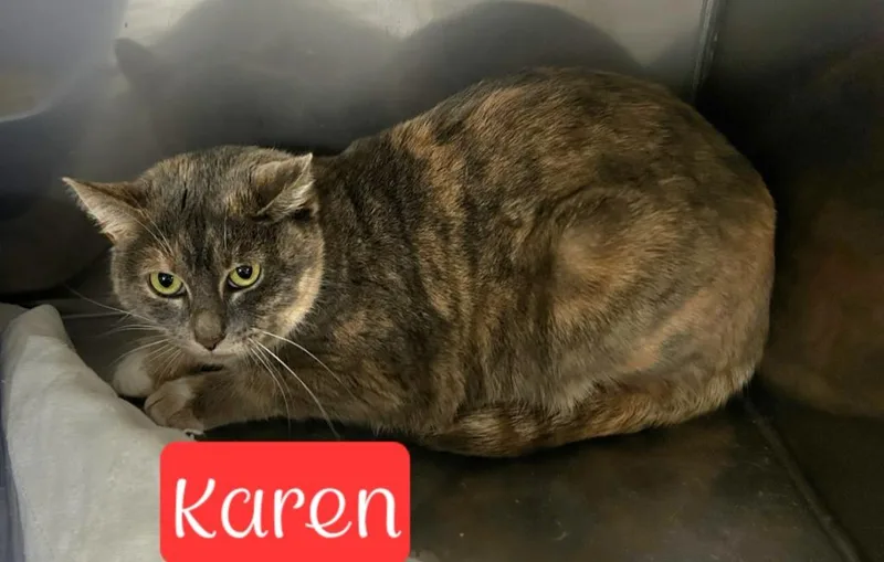 Karen thumbnail 2