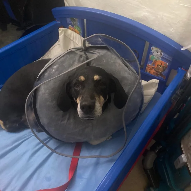 Stillwater thumbnail 2