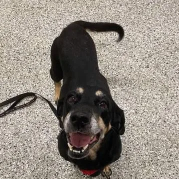 Stillwater thumbnail 3