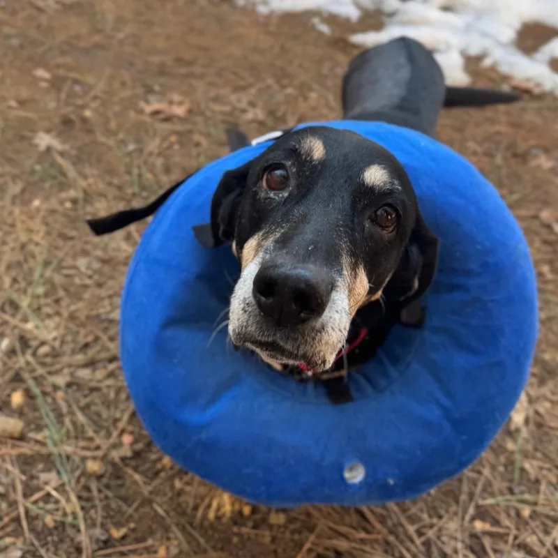 Stillwater thumbnail 4