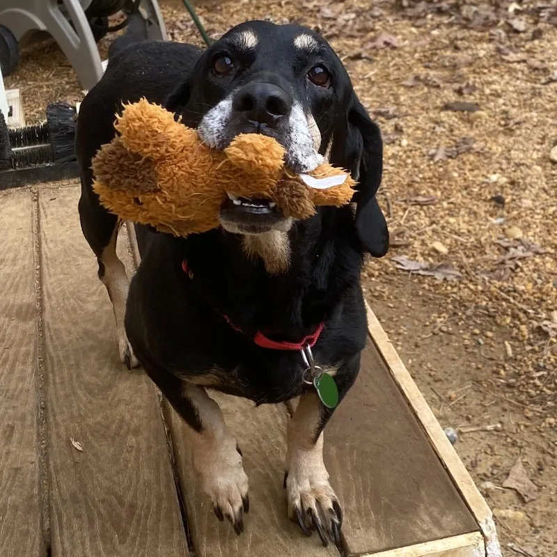 Stillwater thumbnail 5