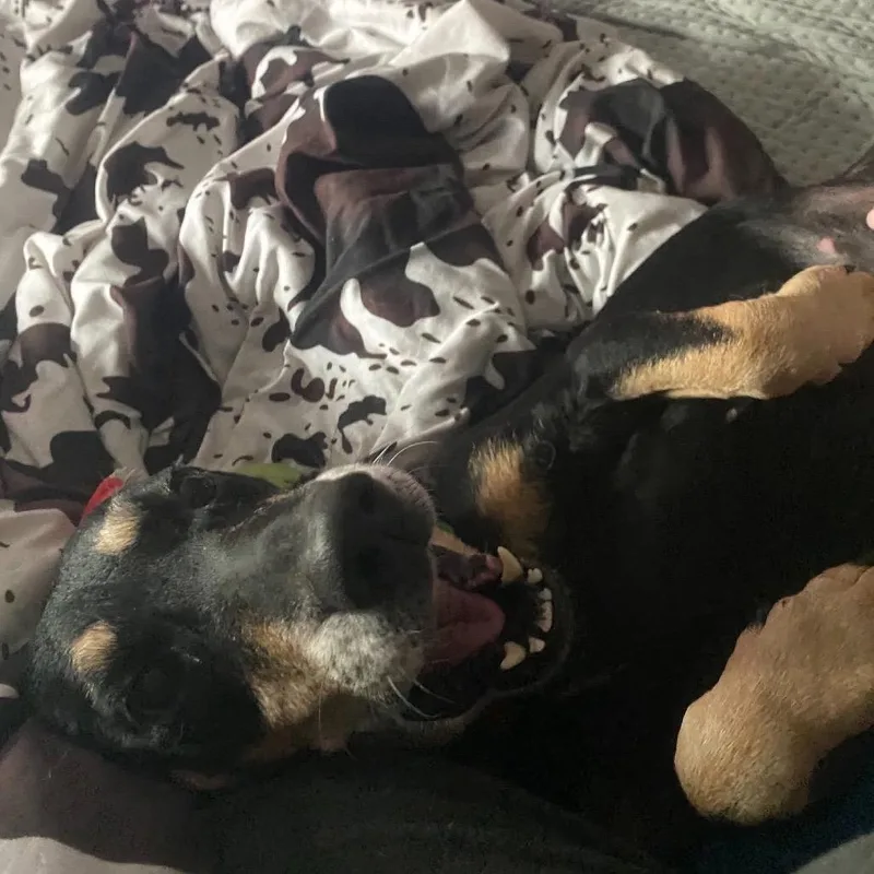 Stillwater thumbnail 6