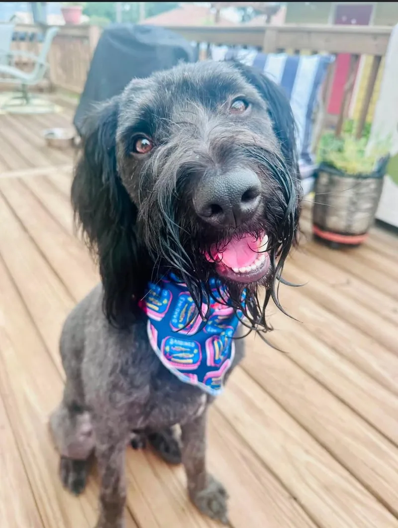 Walter